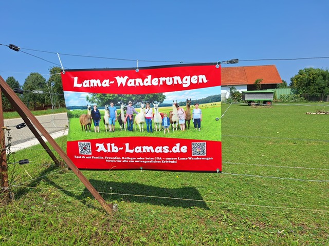 0642fcea-ac22-41e1-bd78-ef6f2e6bc231