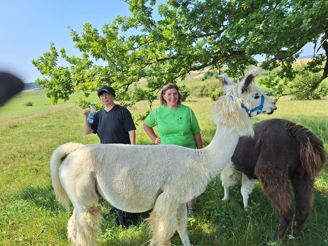 10e5cb32-1b01-452f-86aa-ba1474239d56