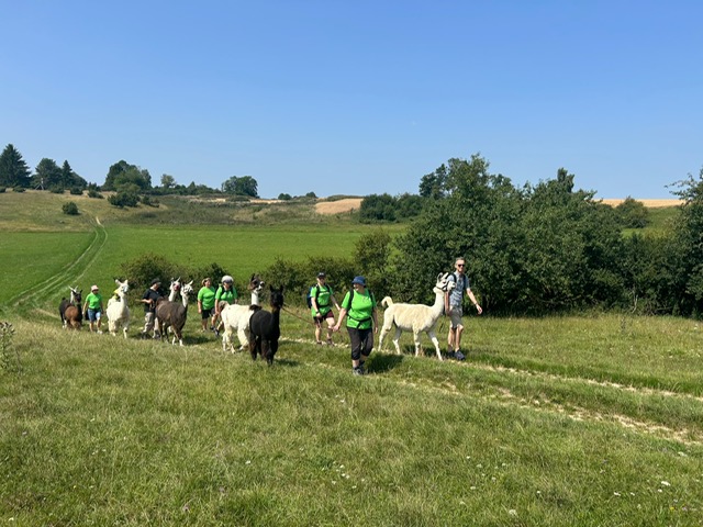 1afabbeb-a9cd-4c3b-a8c6-fd920f16be64