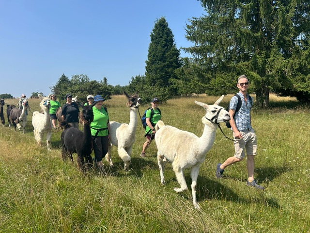 23f1b65d-781d-4bff-91d1-66fcda33f46f