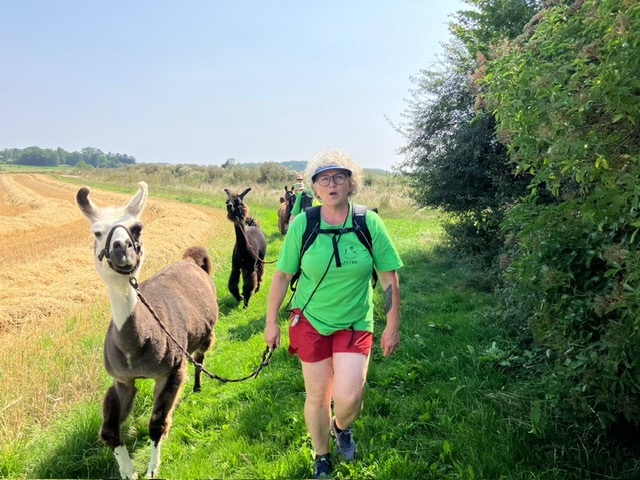 255eadbb-6d1e-467f-a8cd-38c4f35aaa8c