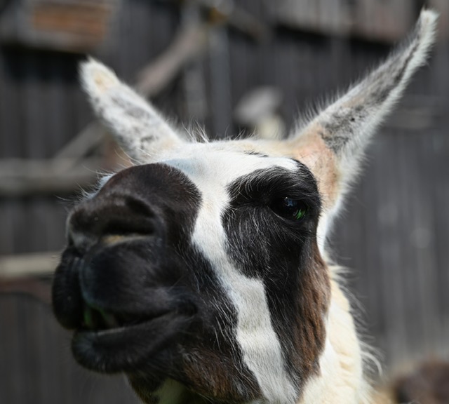 3456e079-a494-414c-ade2-f5ab02562d48