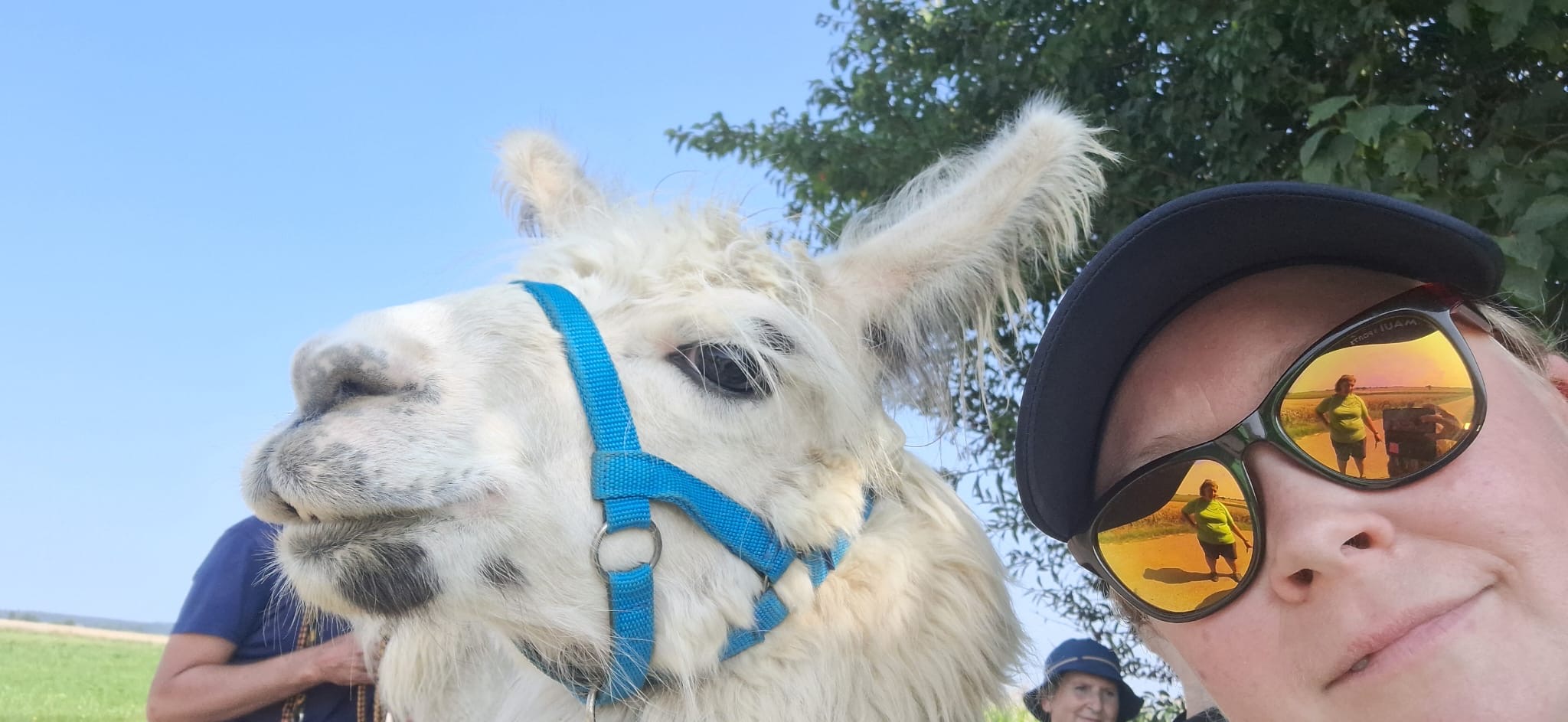 3e698d9c-ef23-45d4-86ef-964ee0dc8d4b