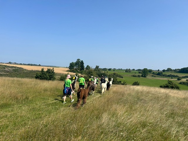 4317cd4e-f525-4315-a6f6-974395150add