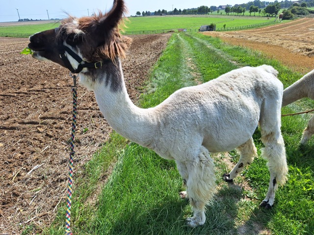 45a685ee-aabb-4a3d-ac14-f320840c0f3d