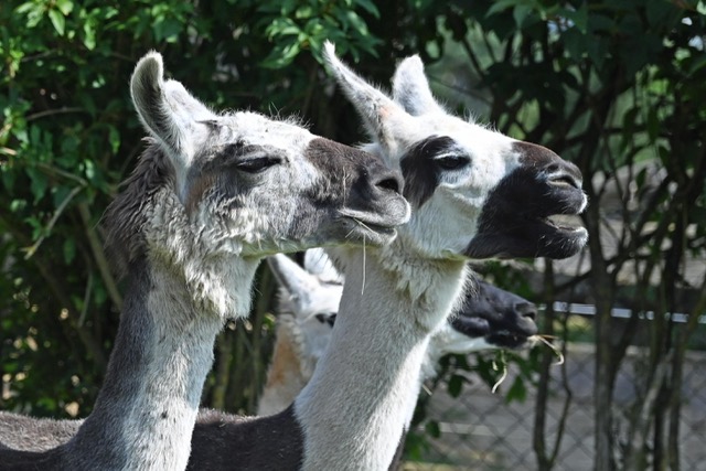 4d55eef9-8012-4663-a22f-988c40b2eb4a