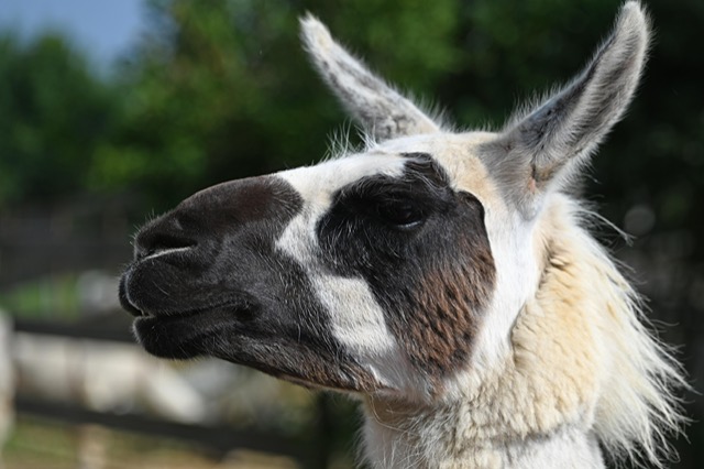 5fd9a028-7ea1-46e1-93bd-9927ea556694