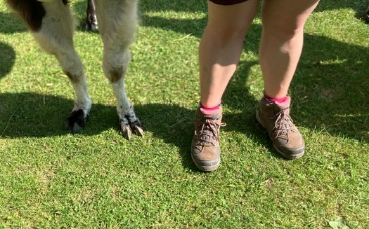 61018fec-922b-41ee-99fd-590f5a4c0c99