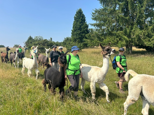 7067f2e2-c2d1-4087-bd0e-2ed1dd552de3