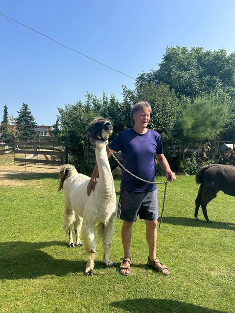 73d43c43-7994-4e75-822b-deaea3f5e0ee