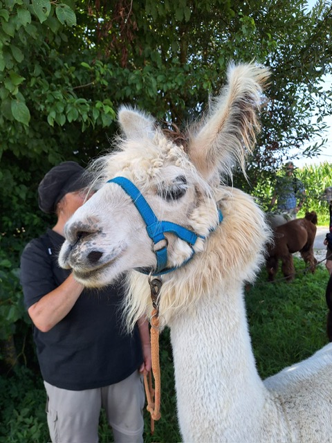 79b1dd5c-b0d0-493c-8030-fef60e1e0129