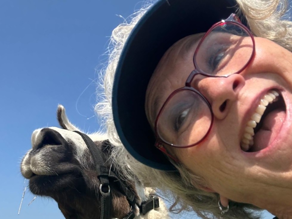 839521eb-5685-4d73-a898-c67767ed28ae