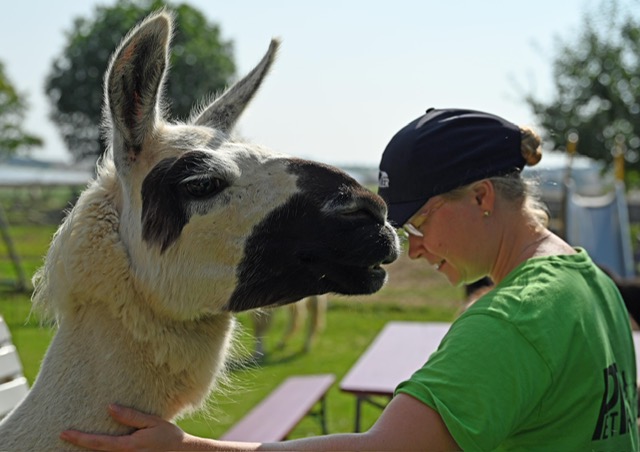 85bad269-e3bb-4cf9-bc18-001d8f674c4b