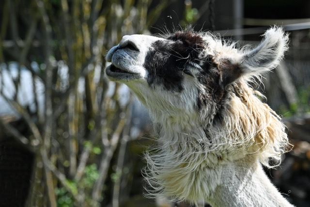 913d3af1-0e28-4782-88d0-da25bf74cf6d