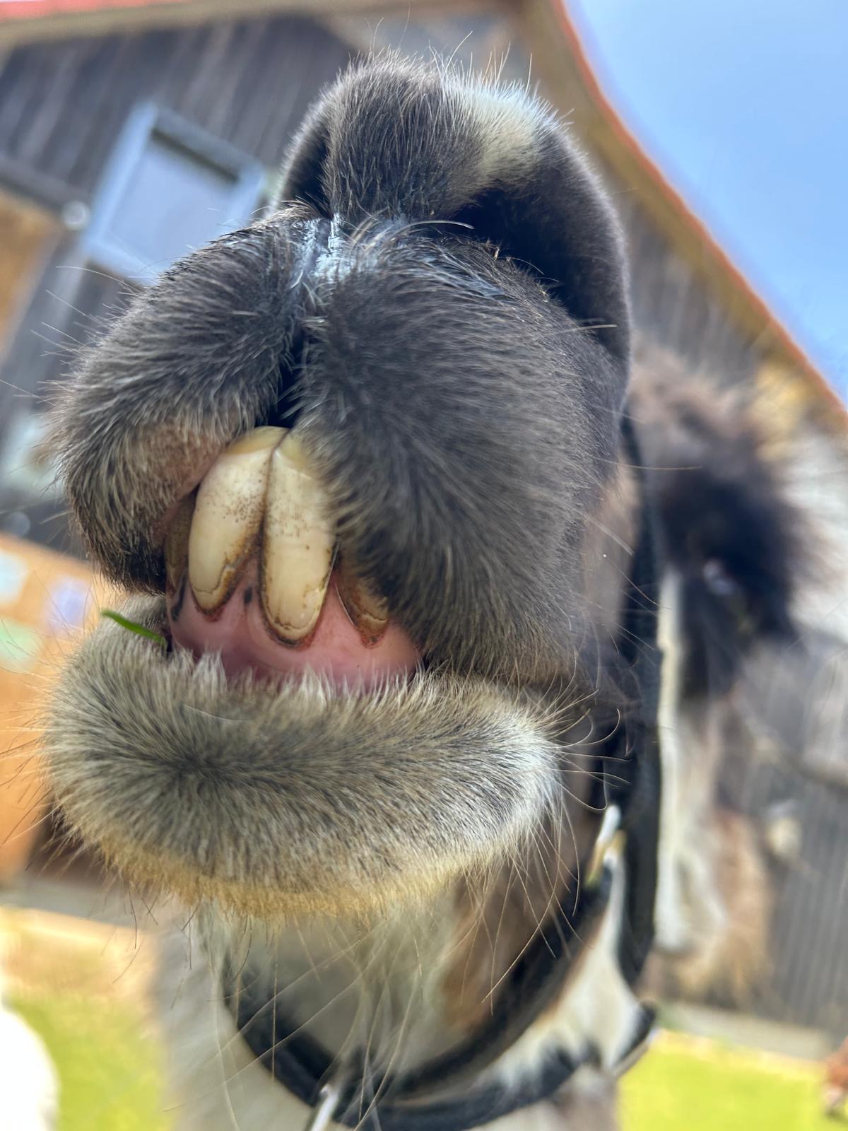 a2c95732-49f7-488b-933b-57ba25784b8d