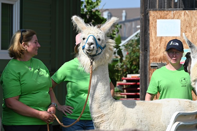 af4e23ae-9362-4257-b6be-d2e40dbbc261