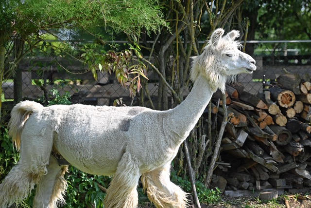 b07cdbaf-069d-455b-a0f3-041465792cbd