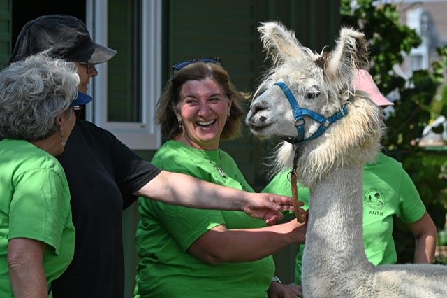 b6707653-f54b-43cc-84ad-109221546913