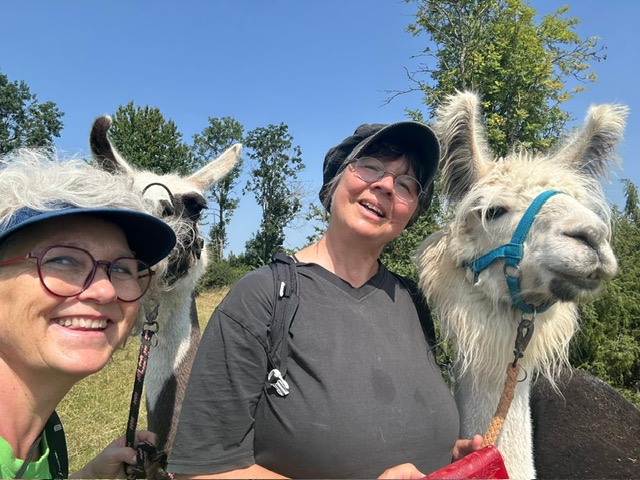 b8c26e75-90e7-4242-8100-0ef1fa62c96b