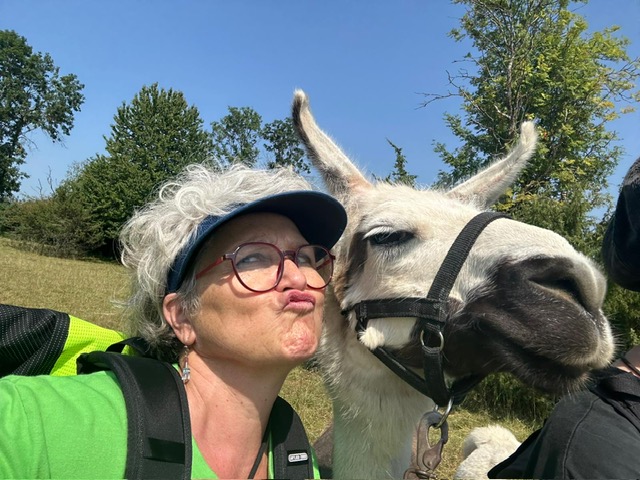 b9e943f9-785a-4bba-903c-e6fd007eab31