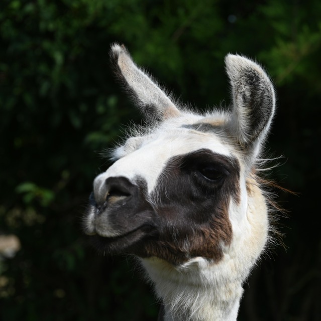 bbe4fa7b-33ba-4a8f-9a14-ac32e0903eba