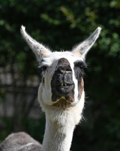 bbf676a5-c2cd-42c4-9d9d-344fa754e0ff