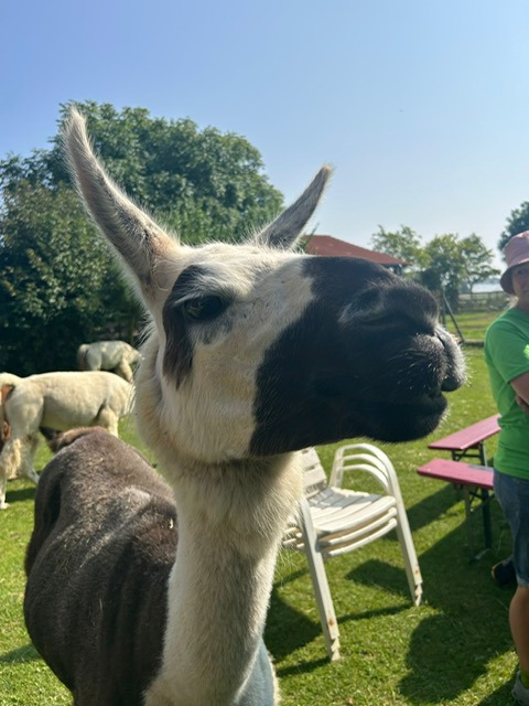 c22d7c02-f26f-4ca1-9b6a-25243108e5b4