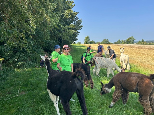 ded69089-b3d8-464a-b23c-55f7c38f0ec5