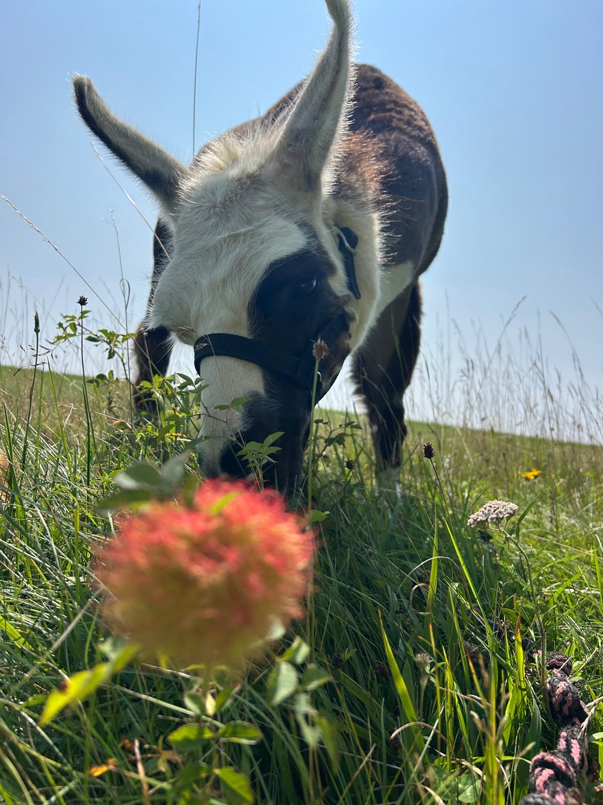 ea46a0b2-7173-4b9d-8f55-8e5cb569d3a4