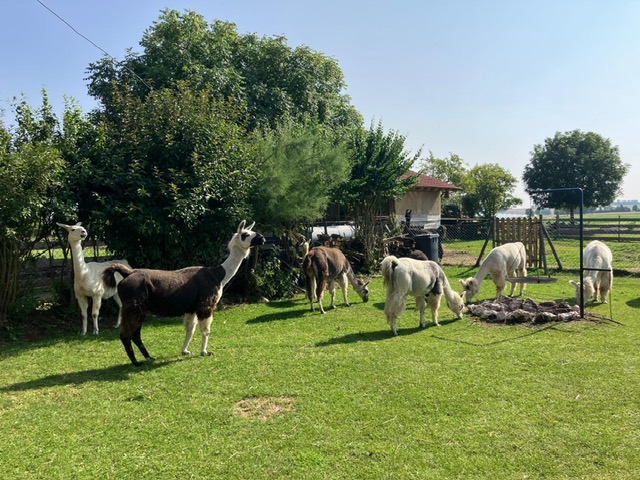 eb9008b7-d4d9-4ea5-84cb-4110bfc7f08c