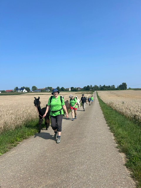 f0340bd9-2aac-4179-b6d8-5cbf17dc560e