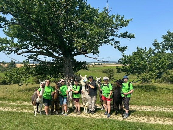 f2864535-a15d-4886-8895-d778422c087e