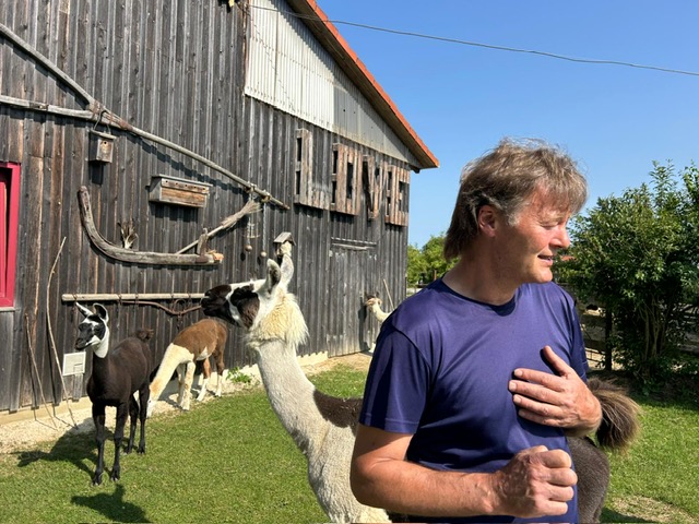 f8b276a6-0d93-4ef5-b7a6-47e55135fe5a