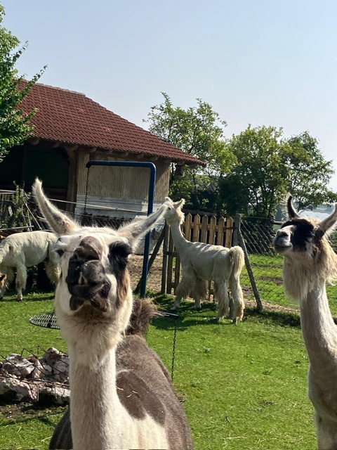 fde7acd9-02ad-4c3d-8d04-fef0dcb362f7