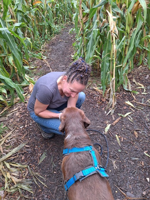 0fa489e7-4e10-468e-9a11-925f0c903f32