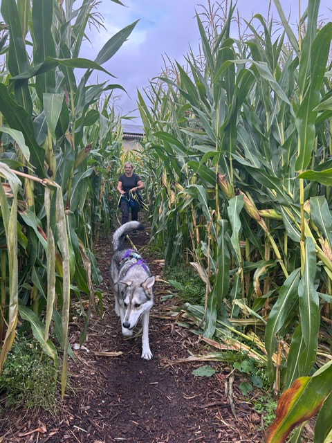 1f438bb2-48b1-4549-9216-8831472e53ad