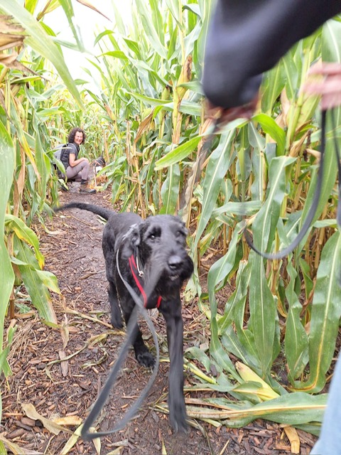 400ac5c9-7755-4660-a968-d8ba59847ae9