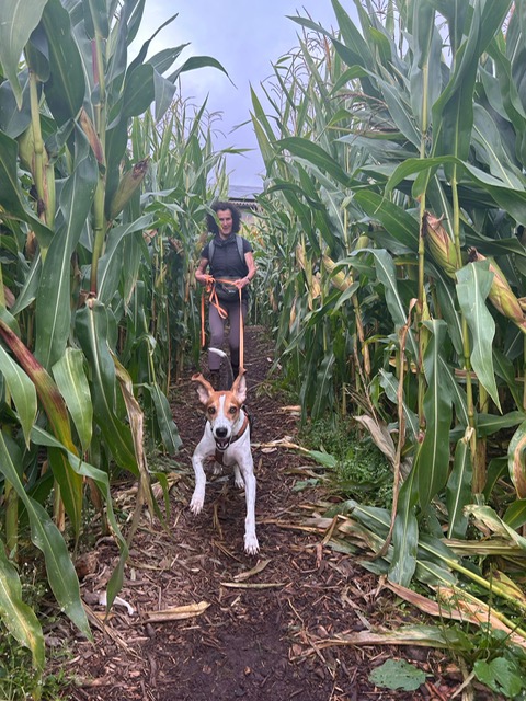 46d8ab5e-a622-4241-b0dd-cfba962c8254