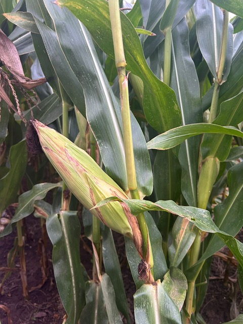 6d94bbd9-8353-49ee-b0bf-6318e3d82e04