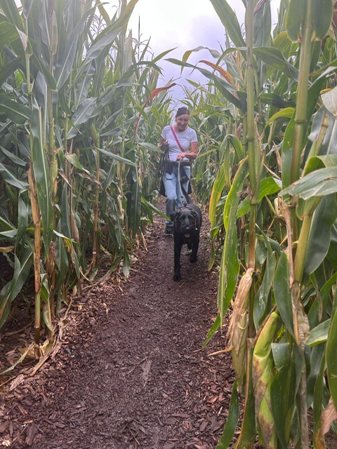 7fa65985-f1f6-48a4-a7be-10ea853abab0