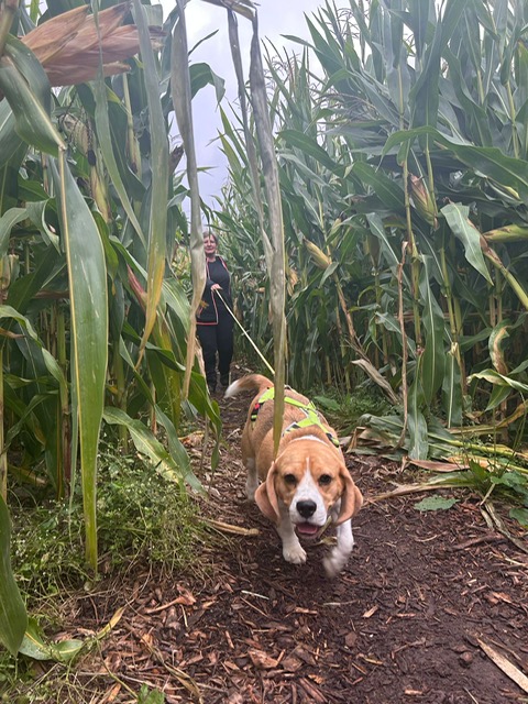 80628d65-83da-4b22-a474-1d0ecbd1ffa8