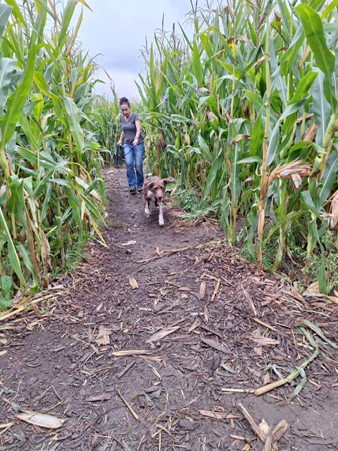 93c05cfb-4c1d-4b75-a30c-f66591940fd7