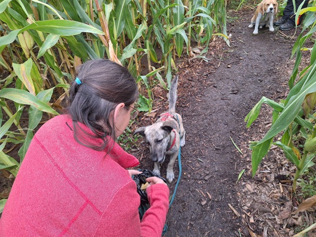 b8268955-12b0-46b0-919e-e354235df723