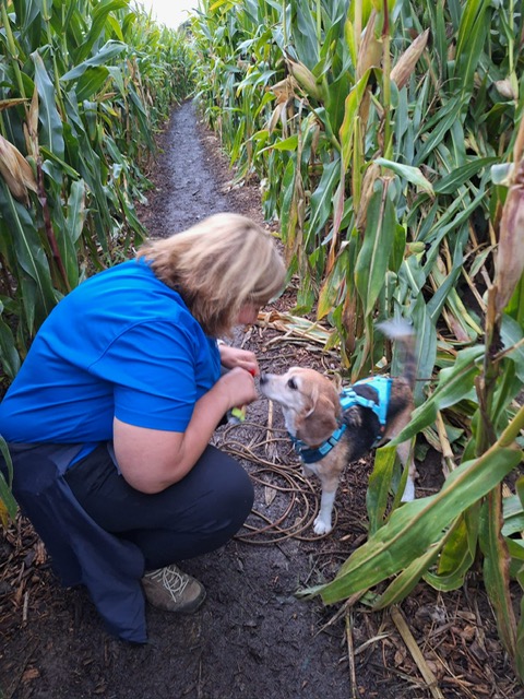 d6e8a1df-9e0f-46b7-bd16-58dbecceb610