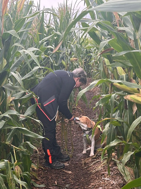 d731acd5-817a-4d74-8c46-64a2e787bfd0