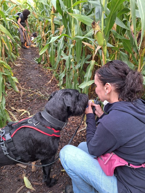 daaba837-8633-4170-9870-80fe7bd88c93