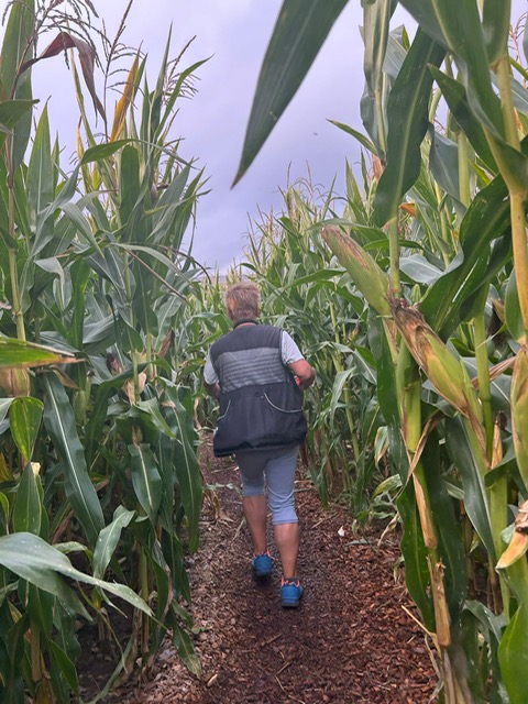 e396ceb5-2536-4113-9bdb-19c47b6124df