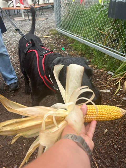 f25878c2-a251-489c-a84d-44cff3da0ea6