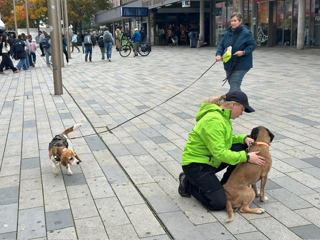 022f86c6-38c1-4266-9ef9-9eb3afb3869a