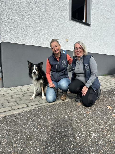 050a26c8-7315-4d63-b36c-9adce3363f1b